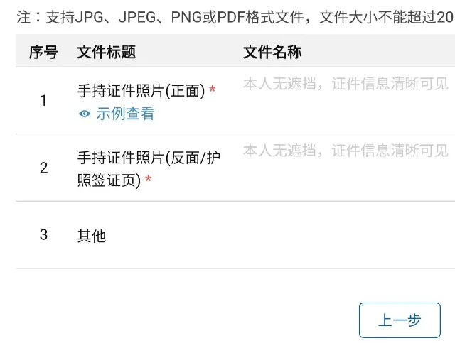 Example UOM foreign passport upload slots with Chinese field labels