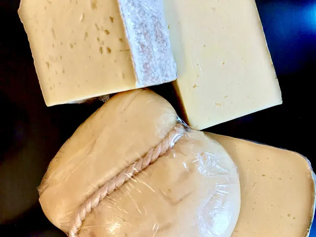 Real photo illustrating Milk & cheese