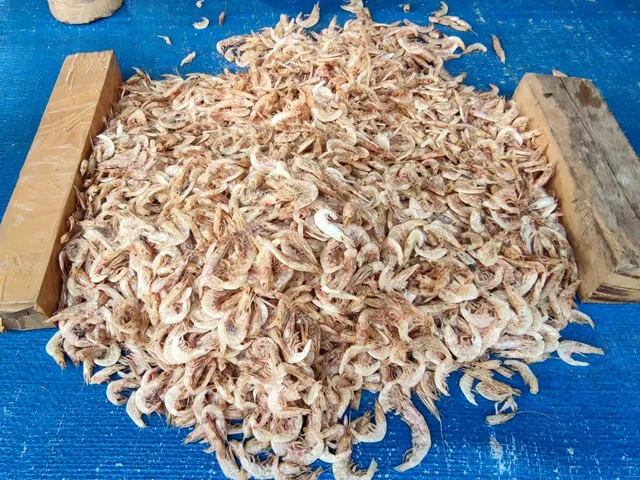 Real photo illustrating Dried seafood
