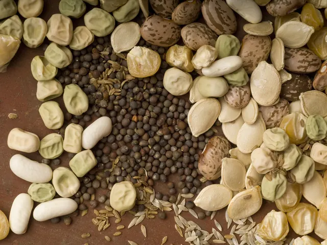 Real photo illustrating Seeds & seedlings